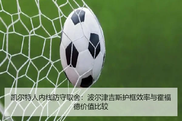 凯尔特人内线防守取舍：波尔津吉斯护框效率与霍福德价值比较